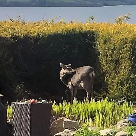 Apartment Kylemore Lakeview Retreat *