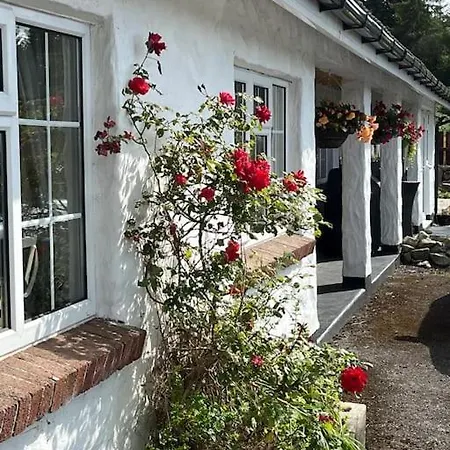 Kylemore Lakeview Retreat *