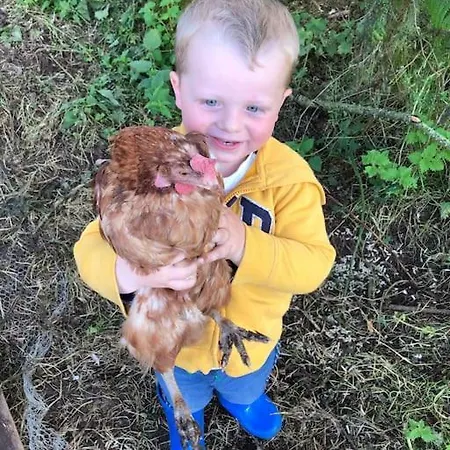 Kylemore Lakeview Retreat Blessington