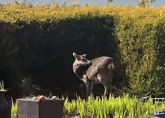 Apartamento Kylemore Lakeview Retreat *