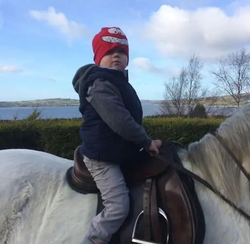 Kylemore Lakeview Retreat Apartamento Blessington